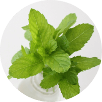 清掃剤：ヒドロキシアパタイト