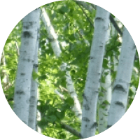 清掃剤：ヒドロキシアパタイト